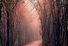 半岛体育体育登录-曼城备战欧冠，畏首畏尾角逐归来