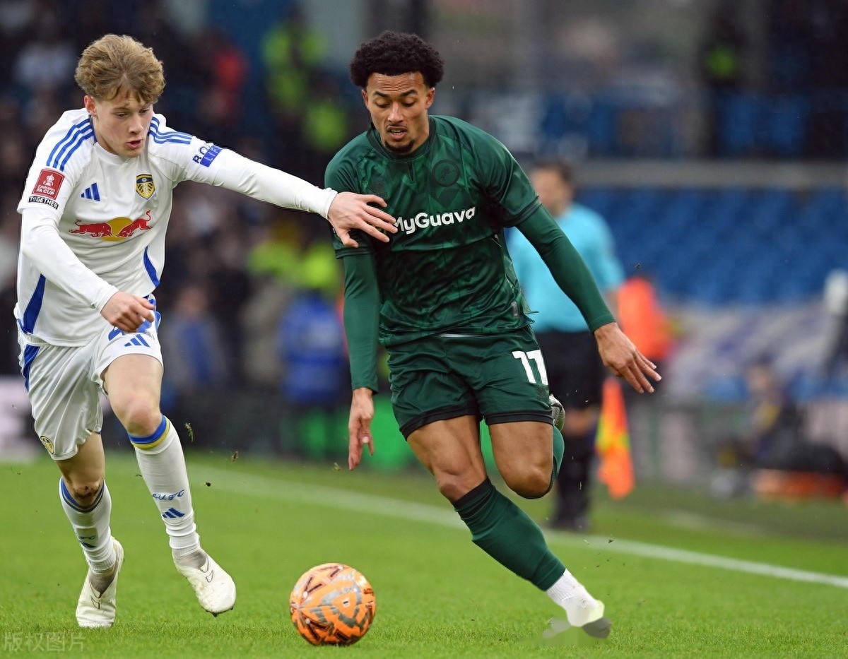 卫冕冠军利兹联险胜沃特福德 卫冕冠军利兹联险胜沃特福德